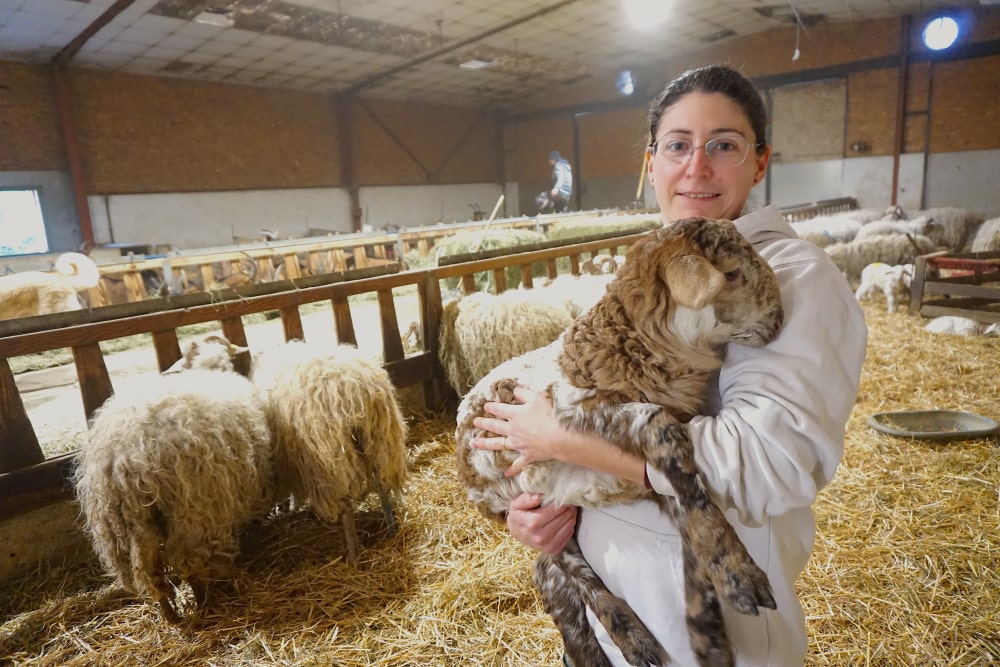 LYDIE LAURE Pré lavit